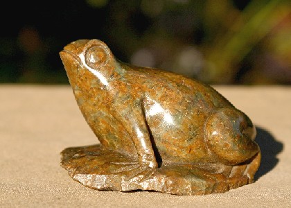 Pretty Brown Frog